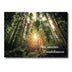 Cartes de condoléances | Personnalisable